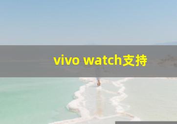 vivo watch支持